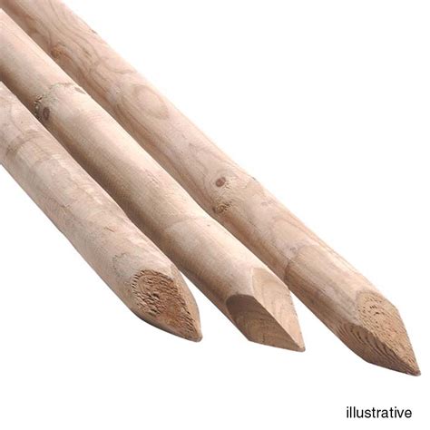 fence stake crossword clue|Fence of stakes .